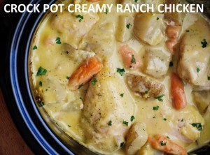 CROCK POT CREAMY RANCH CHICKEN: – Best Cooking recipes In the world