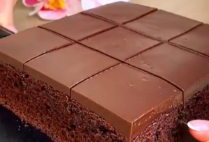 Fluffy chocolate squares