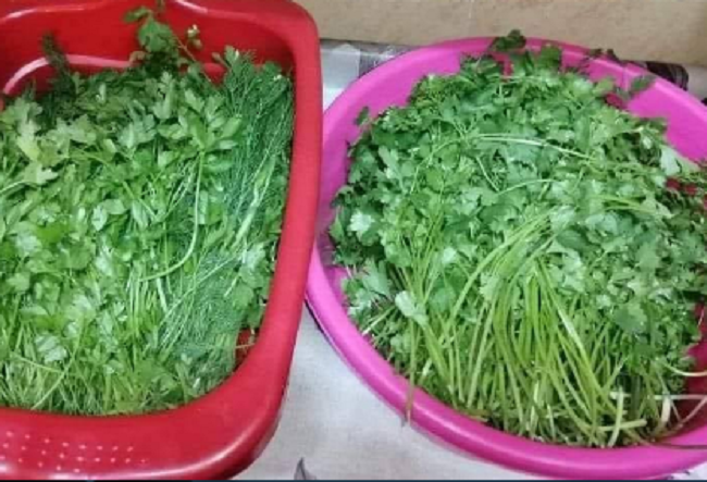 Keep your Parsley Fresh for a Month