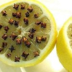 Insect repellent with lemon and cloves