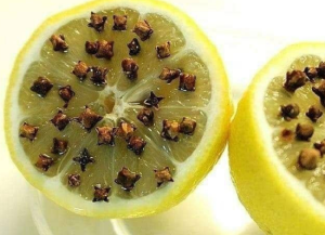 Insect repellent with lemon